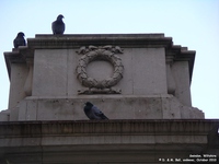 Oops photo: 00915 is missing - please let us know
