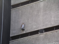 Oops photo: 01007 is missing - please let us know