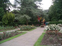 Oops photo: 01176 is missing - please let us know