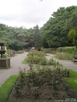 Oops photo: 01177 is missing - please let us know