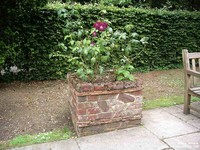 Oops photo: 01181 is missing - please let us know