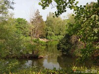 Oops photo: 01371 is missing - please let us know