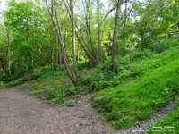 Oops photo: 01376 is missing - please let us know