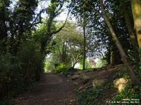 Oops photo: 01379 is missing - please let us know