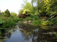 Oops photo: 01383 is missing - please let us know