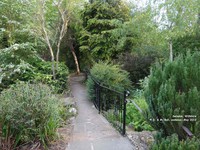Oops photo: 01385 is missing - please let us know