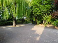 Oops photo: 01395 is missing - please let us know
