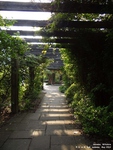 Oops photo: 01401 is missing - please let us know
