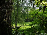 Oops photo: 01402 is missing - please let us know