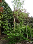 Oops photo: 01411 is missing - please let us know