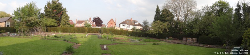 Oops photo: 01417 is missing - please let us know