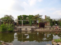 Oops photo: 01420 is missing - please let us know