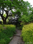 Oops photo: 01424 is missing - please let us know