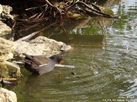 Oops photo: 01429 is missing - please let us know