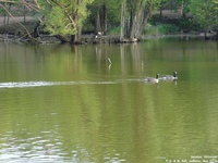 Oops photo: 01430 is missing - please let us know