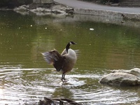 Oops photo: 01437 is missing - please let us know