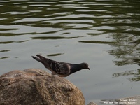 Oops photo: 01443 is missing - please let us know