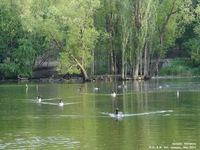 Oops photo: 01444 is missing - please let us know