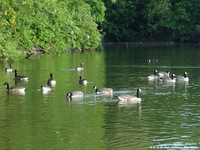 Oops photo: 01446 is missing - please let us know