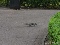 Oops photo: 01457 is missing - please let us know