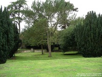 Oops photo: 01817 is missing - please let us know