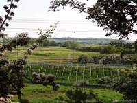 Oops photo: 01860 is missing - please let us know