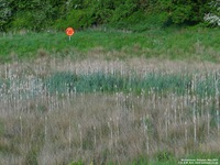 Oops photo: 01895 is missing - please let us know