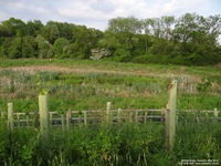 Oops photo: 01898 is missing - please let us know