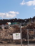 Oops photo: 02225 is missing - please let us know