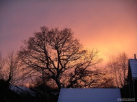 Oops photo: 02650 is missing - please let us know