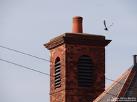 Oops photo: 02722 is missing - please let us know