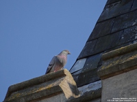Oops photo: 03036 is missing - please let us know