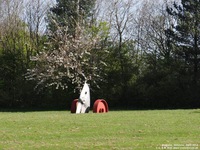 Oops photo: 03085 is missing - please let us know