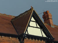 Oops photo: 03181 is missing - please let us know