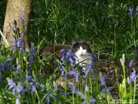 Oops photo: 03631 is missing - please let us know