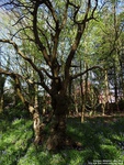 Oops photo: 03640 is missing - please let us know