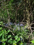 Oops photo: 03642 is missing - please let us know