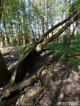 Oops photo: 03643 is missing - please let us know