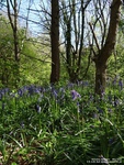 Oops photo: 03644 is missing - please let us know