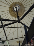 Oops photo: 04256 is missing - please let us know