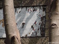 Oops photo: 04303 is missing - please let us know