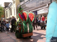 Oops photo: 04427 is missing - please let us know