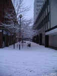 Oops photo: 04500 is missing - please let us know