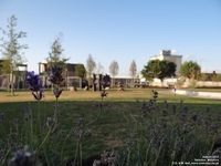 Oops photo: 04590 is missing - please let us know