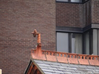 Oops photo: 04637 is missing - please let us know