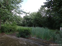 Oops photo: 04653 is missing - please let us know