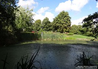 Oops photo: 04654 is missing - please let us know