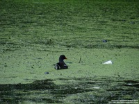 Oops photo: 04657 is missing - please let us know