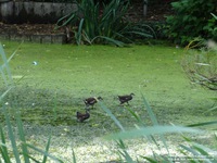 Oops photo: 04660 is missing - please let us know