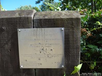 Oops photo: 04661 is missing - please let us know